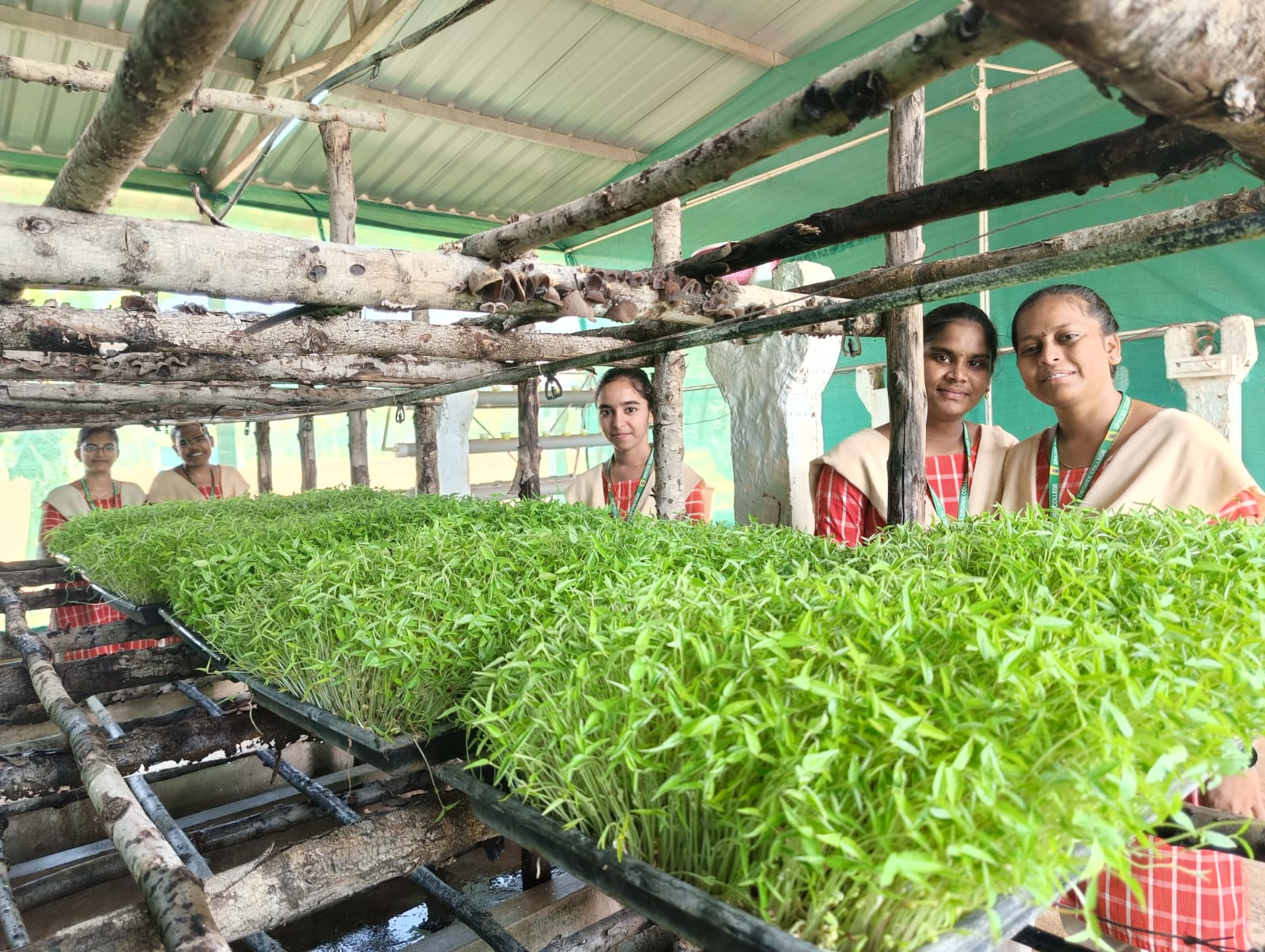 Hydroponics Fodder 1.jpeg